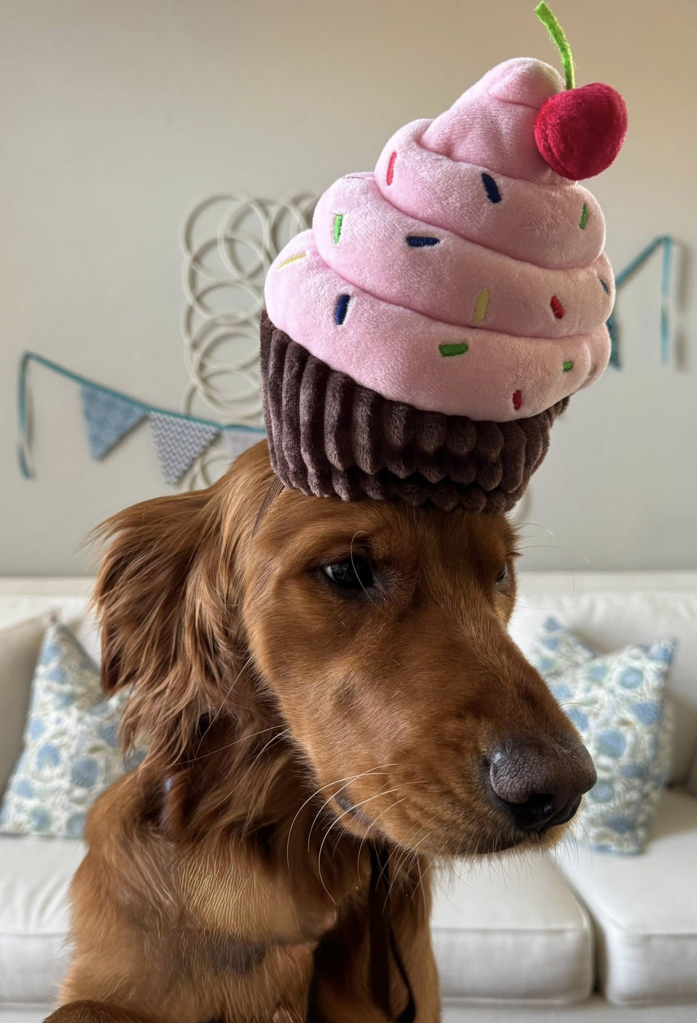 Original photo - Cupcake Hat Golden — Tattoo Flash